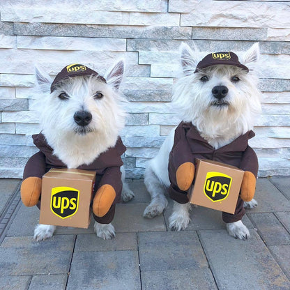 Delivery of pet dog and cat clothes-Free Shipping