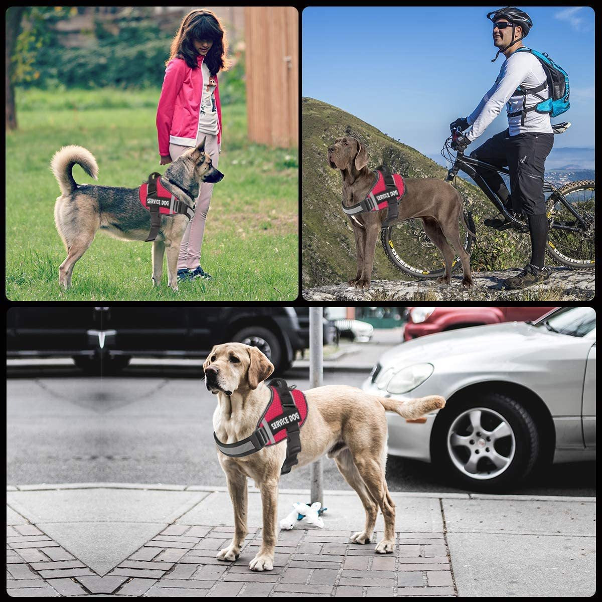 Pet Dog New Reflective Comfortable Pet Chest Strap-Free Shipping