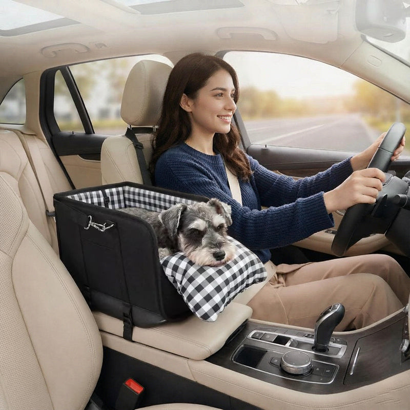 Car Mounted Pet Car Seat – Free Shipping