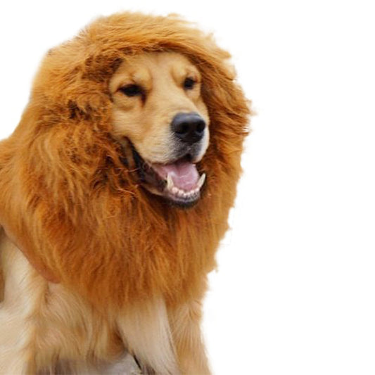 Pet transformation funny dog lion wig-Free Shipping