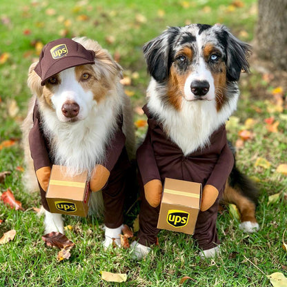 Delivery of pet dog and cat clothes-Free Shipping