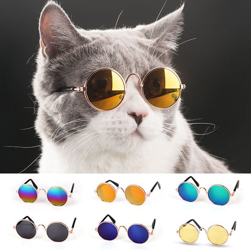 1pc Lovely Pet Cat Glasses-Free Shipping