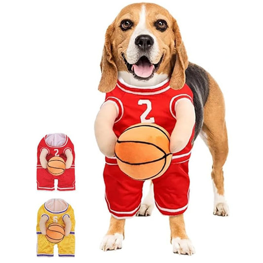 Dog Basketball Cost with Ball-Free Shipping