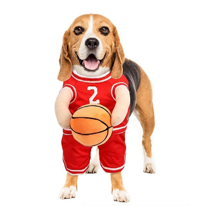 Dog Basketball Cost with Ball-Free Shipping