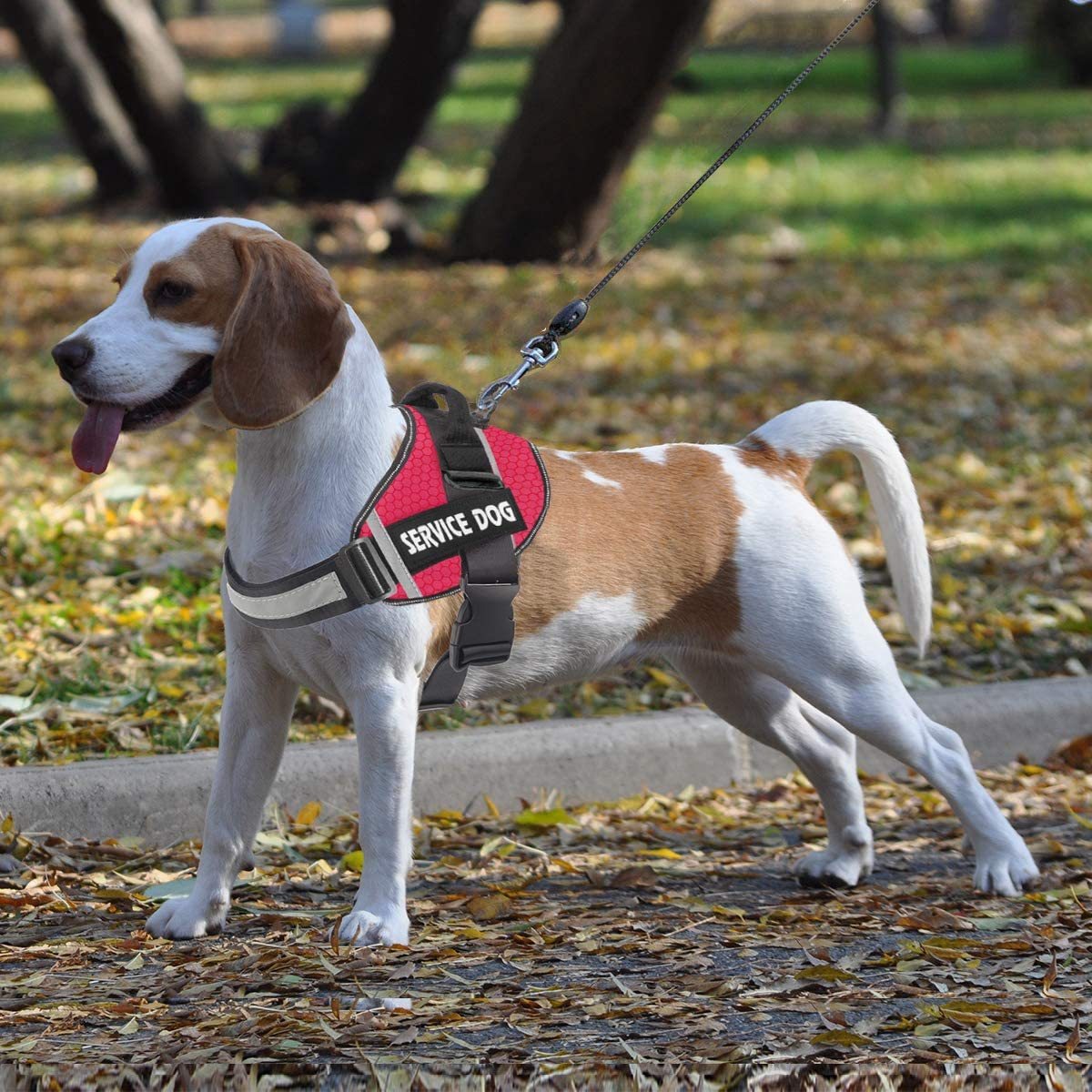 Pet Dog New Reflective Comfortable Pet Chest Strap-Free Shipping