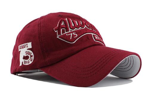 Baseball Caps Hip Hop-Free Shipping - aurelia-clothing-8955