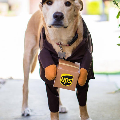 Delivery of pet dog and cat clothes-Free Shipping