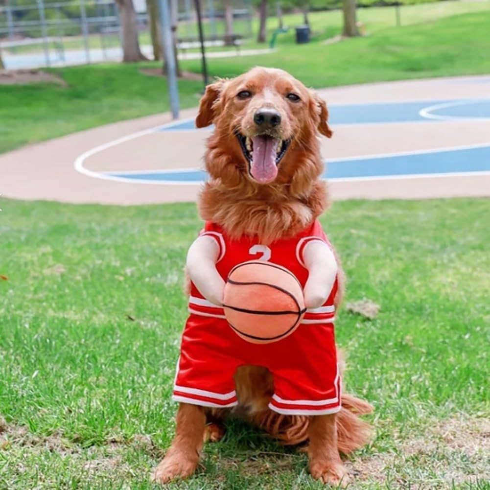 Dog Basketball Cost with Ball-Free Shipping
