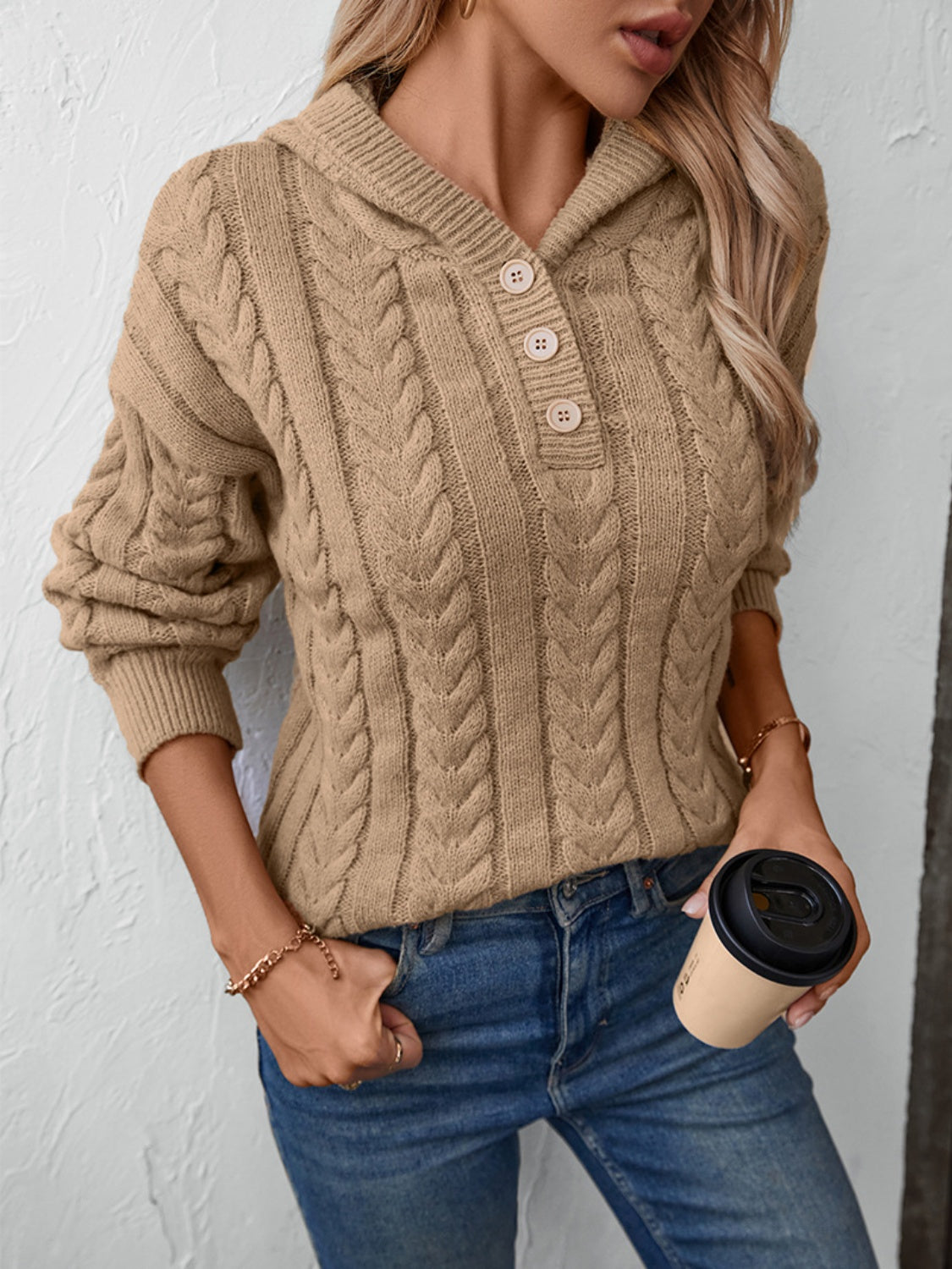 Cable-Knit Long Sleeve Hooded Sweater - aurelia-clothing-8955