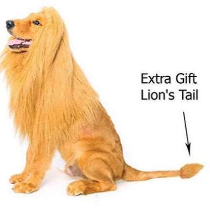 Pet transformation funny dog lion wig-Free Shipping