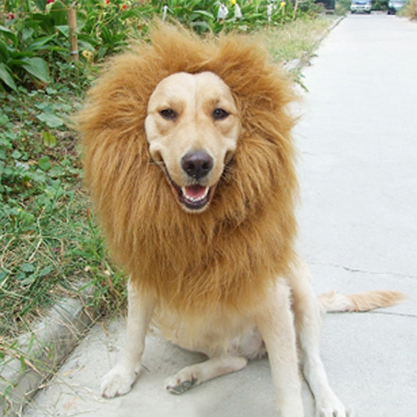 Pet transformation funny dog lion wig-Free Shipping