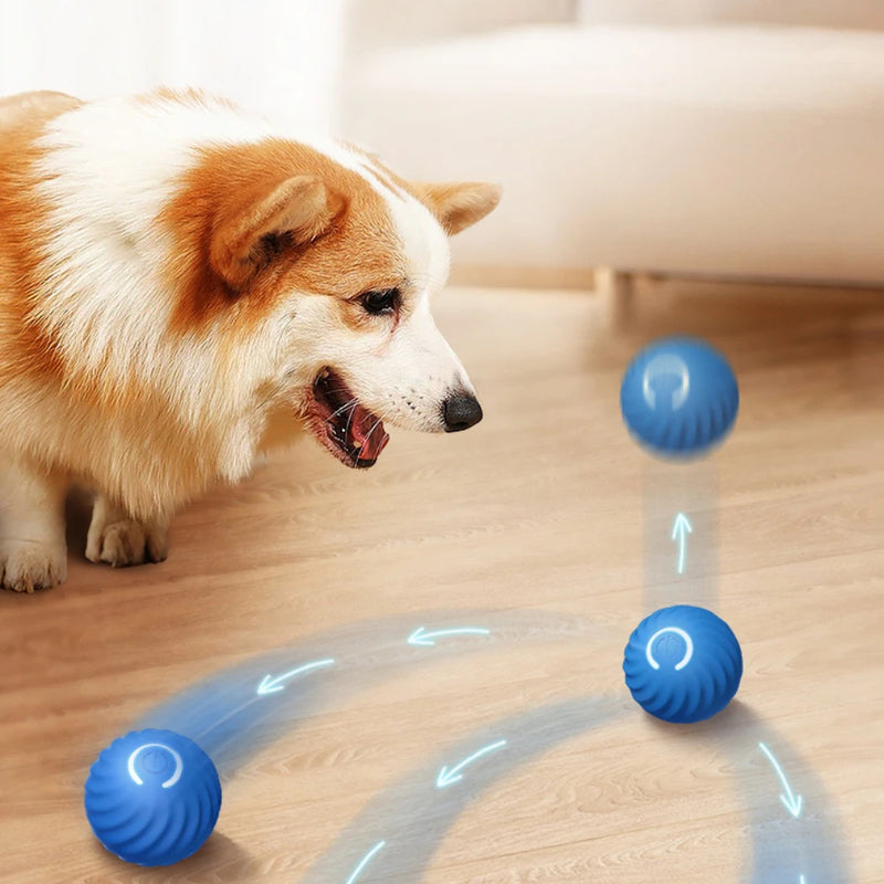 Smart Dog Toy Ball for Dogs -Free Shipping - aurelia-clothing-8955