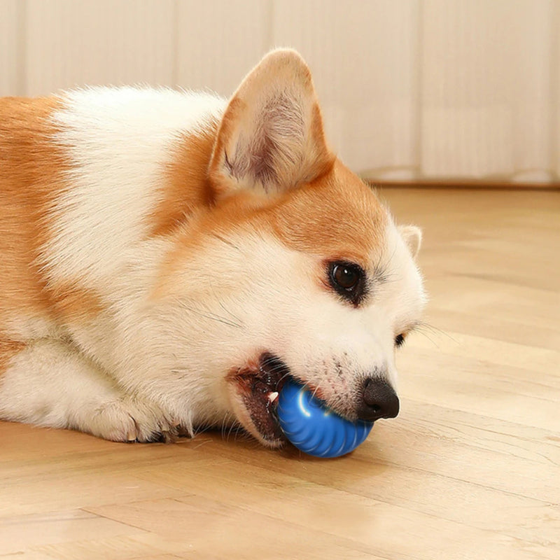 Smart Dog Toy Ball for Dogs -Free Shipping - aurelia-clothing-8955