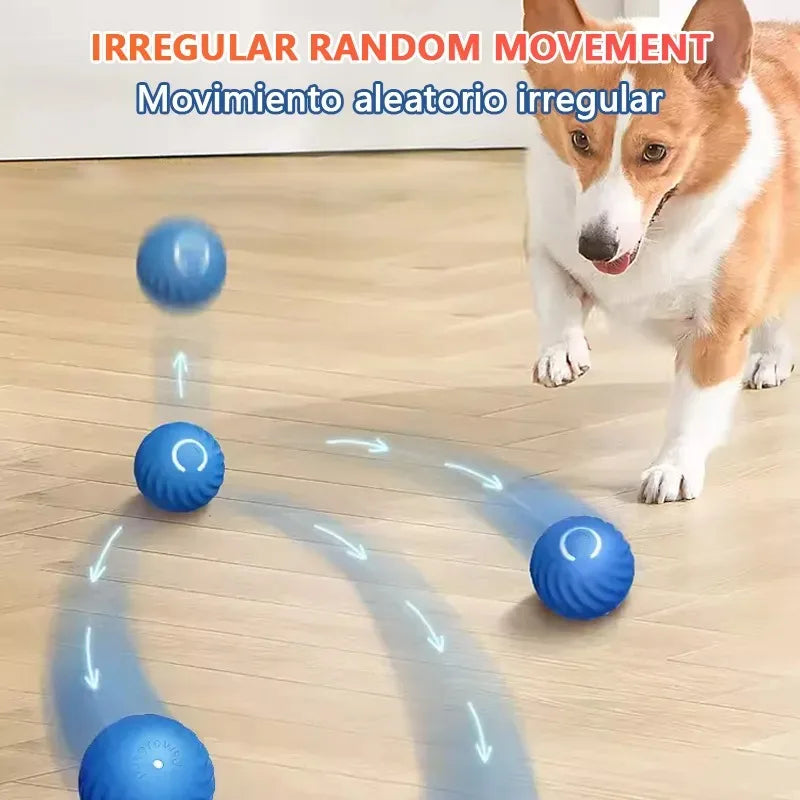 Smart Dog Toy Ball for Dogs -Free Shipping - aurelia-clothing-8955