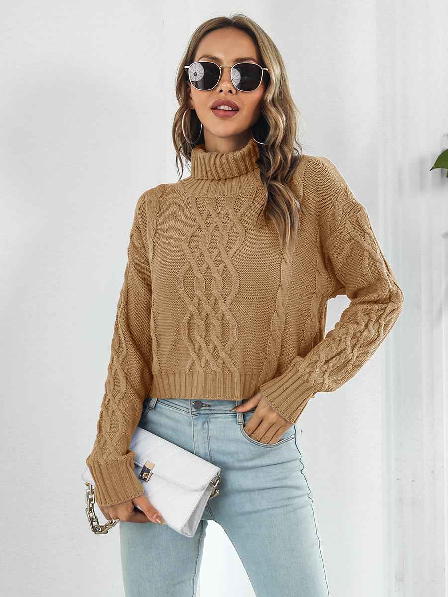 Turtleneck Dropped Shoulder Sweater - aurelia-clothing-8955