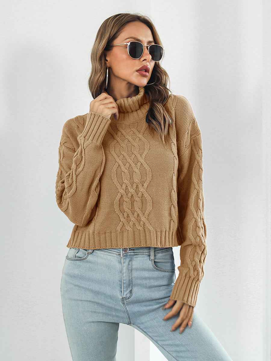 Turtleneck Dropped Shoulder Sweater - aurelia-clothing-8955
