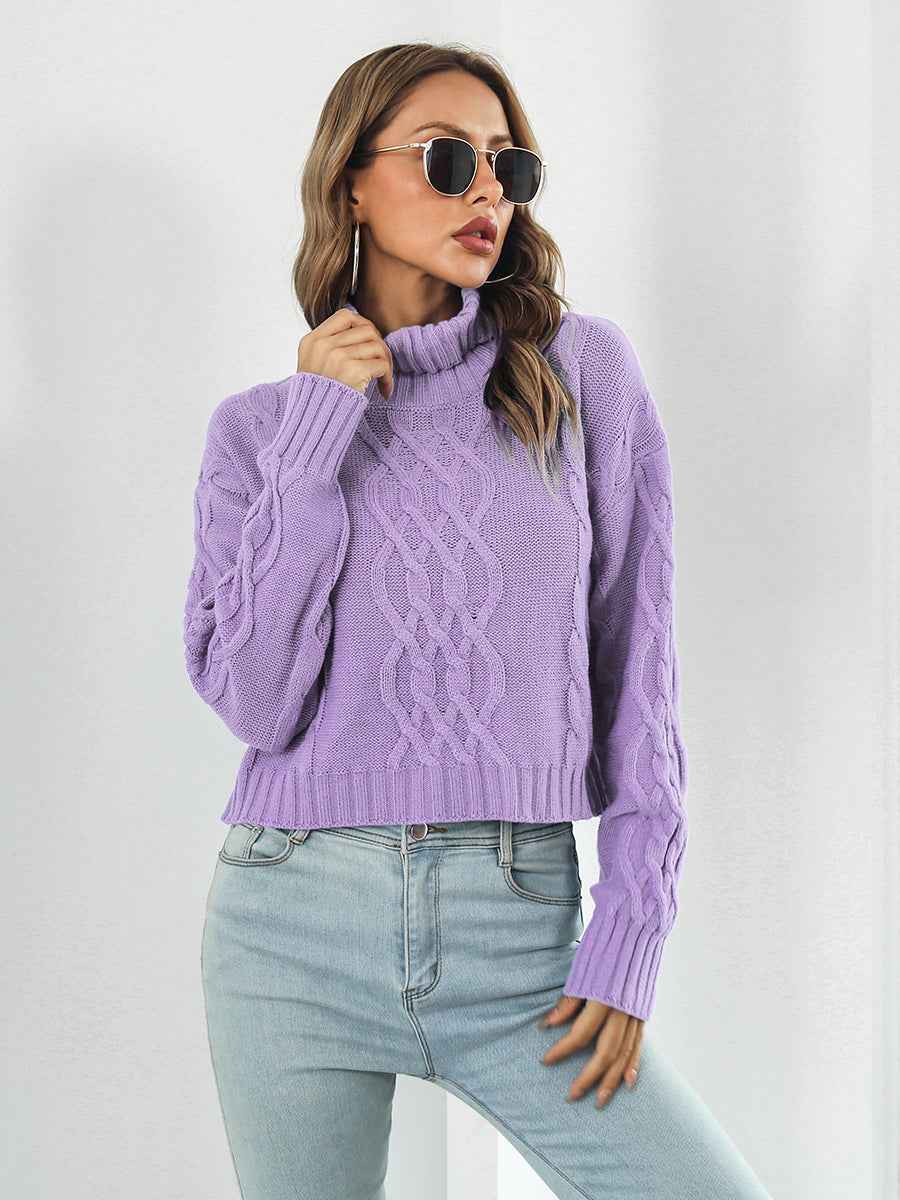 Turtleneck Dropped Shoulder Sweater - aurelia-clothing-8955