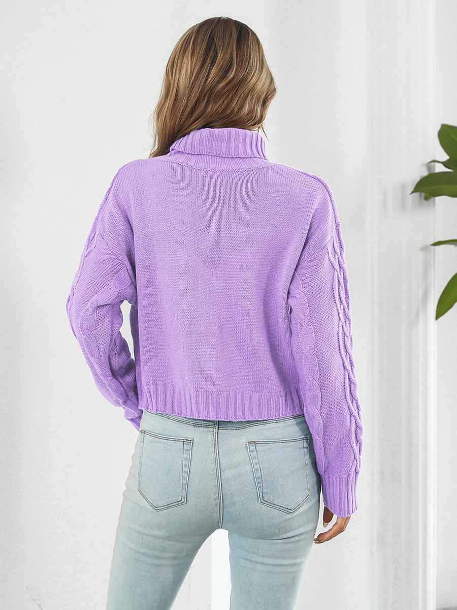 Turtleneck Dropped Shoulder Sweater - aurelia-clothing-8955